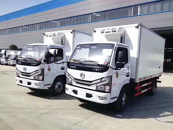 東風(fēng)多利卡D6國六冷藏車(chē)
